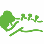  Dores e distúrbios musculoesqueléticos: